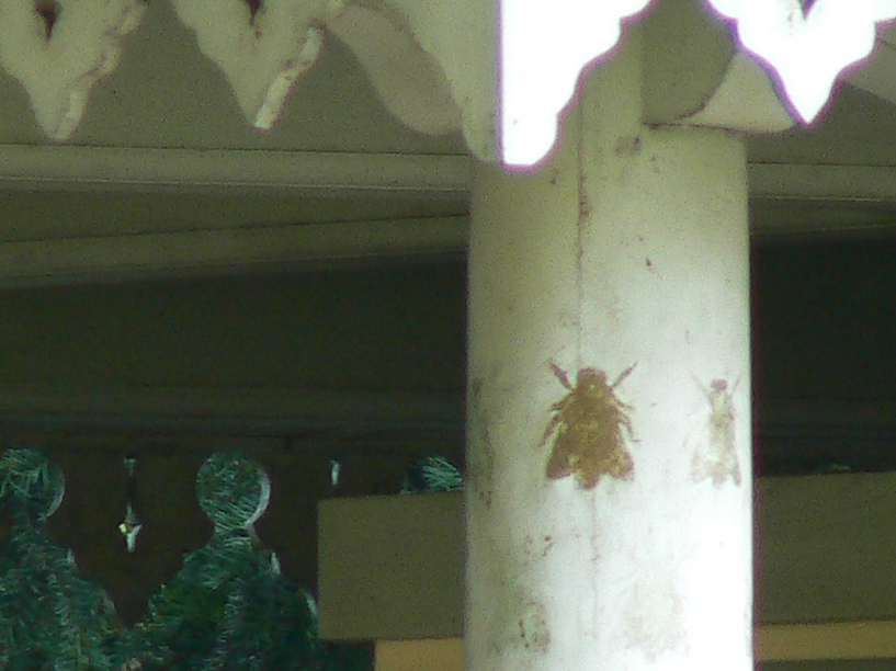 Ecole d arboriculture: les ruches d'abeilles 170